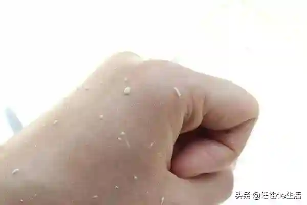 网友吐槽搓泥到飞起的产品，紫熨斗，修丽可紫米，其实应该这样用