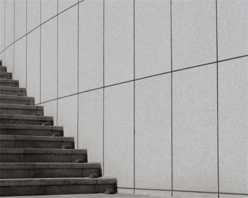 多元妆效，完美定妆——NOEVIR诺薇雅SPECIALE精纯系列蜜粉