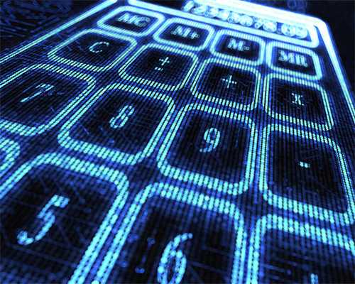 西洋接骨木：株形优美，枝叶繁茂，春季白花满树，夏末果实累累