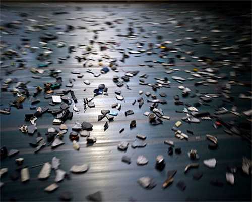 北京摄影函授学院建院四十周年座谈会举办