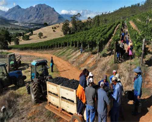 全方位保湿-日本冬季人气产品