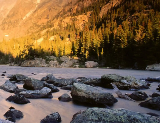 吕高安：春天，我与这畜生的陈年旧事